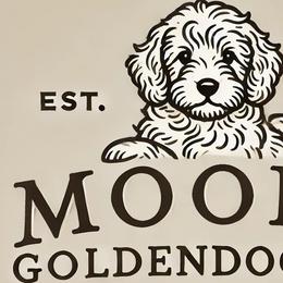 Goldendoodles from Moore Goldendoodles