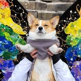 Pembroke Welsh Corgis from Brian Cayton