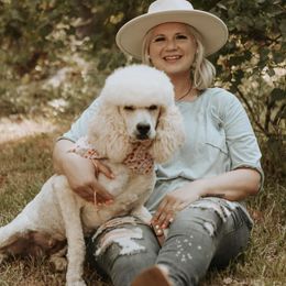 Sunni - Poodle