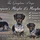 Maybelle