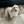 Unnamed