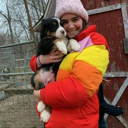 Prev pup - Black rust and white male Bernese Mountain Dog puppy in Strasburg, Ohio from Lois Allison