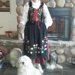 Polish Lowland Sheepdogs from That'll Do PONs