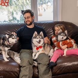 Hero Suki - Silver and white male Pomsky puppy in Spring City, Pennsylvania from Pomsky Power Puppies