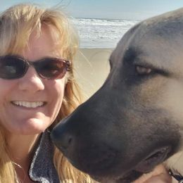 Anatolian Shepherd Dogs and Dachshunds from LaBrosa Kennels