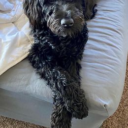Kaia - Assorted Doodle Crosses