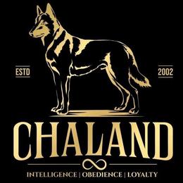 Belgian Malinois from Chaland