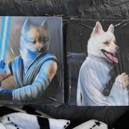 French Bulldog and Pomsky Puppies from Ba's Designer Puppies