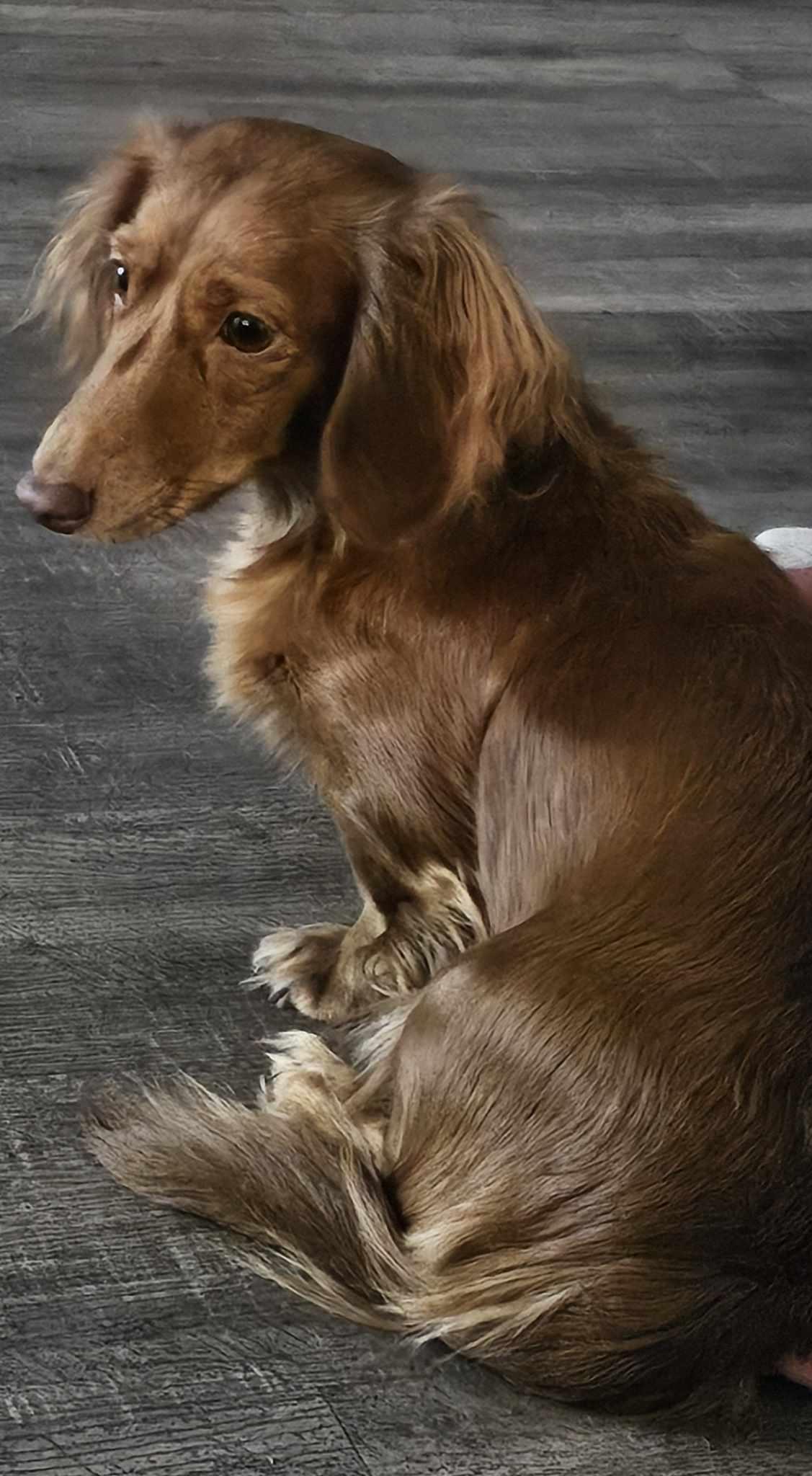 Tia