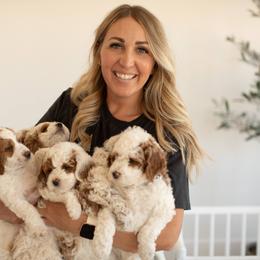 Goldendoodle Puppies from Dashing Doodle Pups