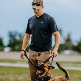 Belgian Malinois from Mike Maas' working dogs