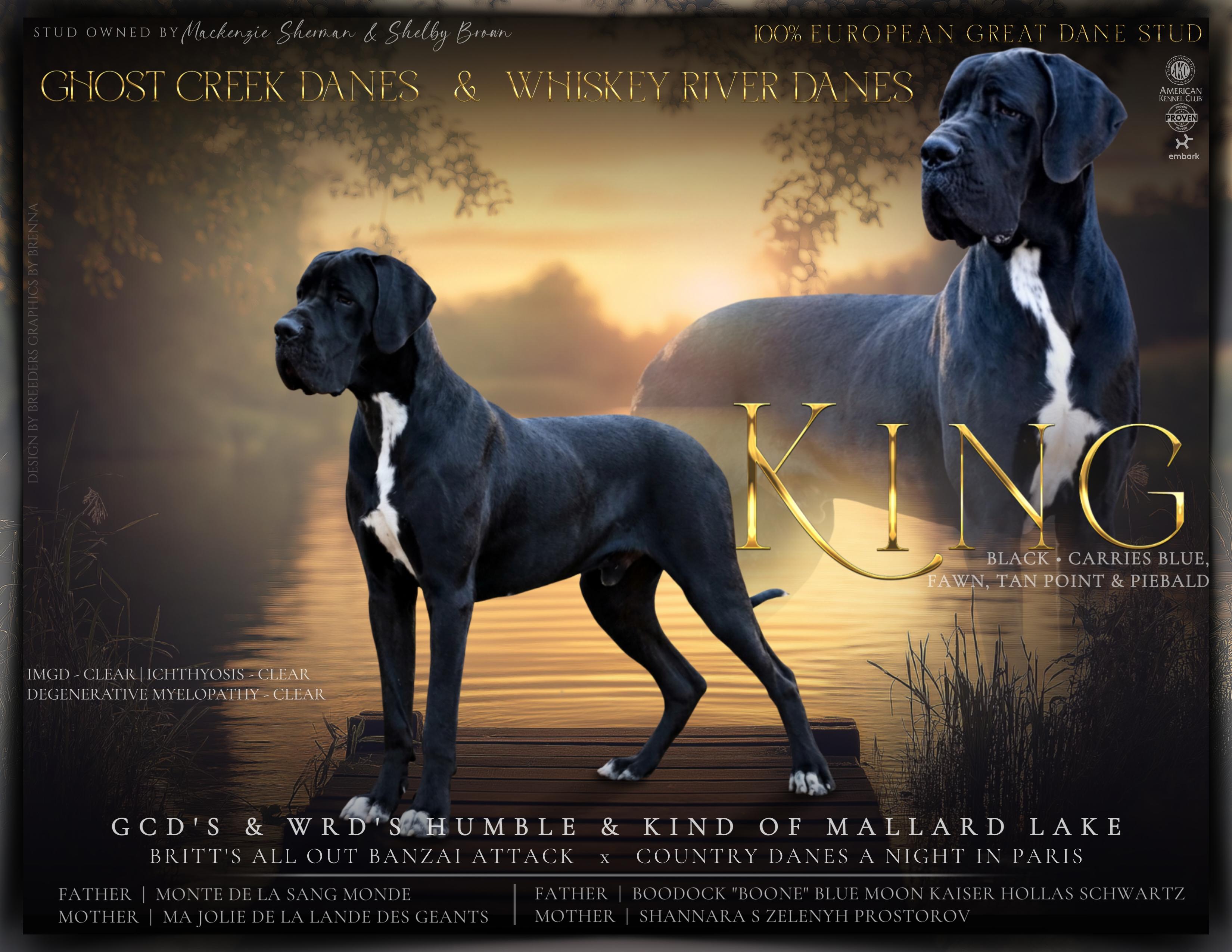 King