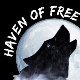 Siberian Huskies from Haven of Free Spirits