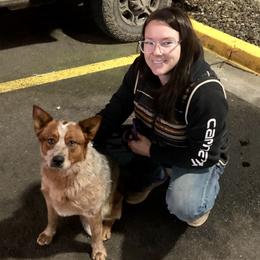 6pks Poppi Raspberry Rose - Red speckled female Australian Cattle Dog puppy in Sheridan, Oregon from 6pk Cattledogs