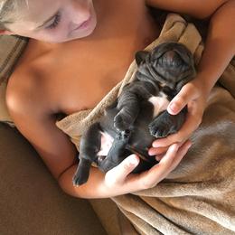 French Bulldog Puppies from Crooked C Ranch