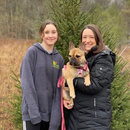 French Bulldog Puppies from Bleu Rock French Bulldogs
