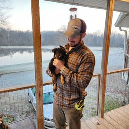 German Shepherd Puppies from Von Hoene Heritage Shepherds