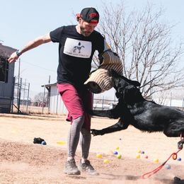 German Shepherd All Grown Up from Kaw-Tal German Shepherds