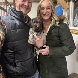 German Shorthaired Pointer and Wirehaired Pointing Griffon Puppies from County Line Pointers