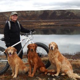 Golden Retrievers from Grayling Golden Retrievers