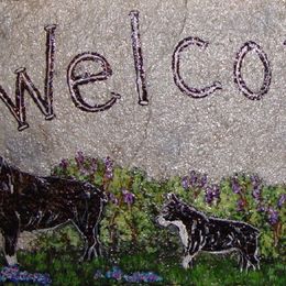 Boston Terrier Puppies from Achates Bostons