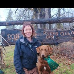 Tikka - Chesapeake Bay Retriever