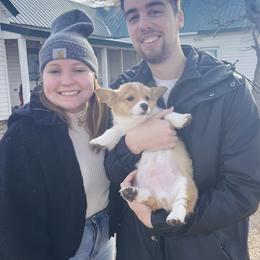 Pembroke Welsh Corgi Puppies from Gotta Chase Em All Corgis