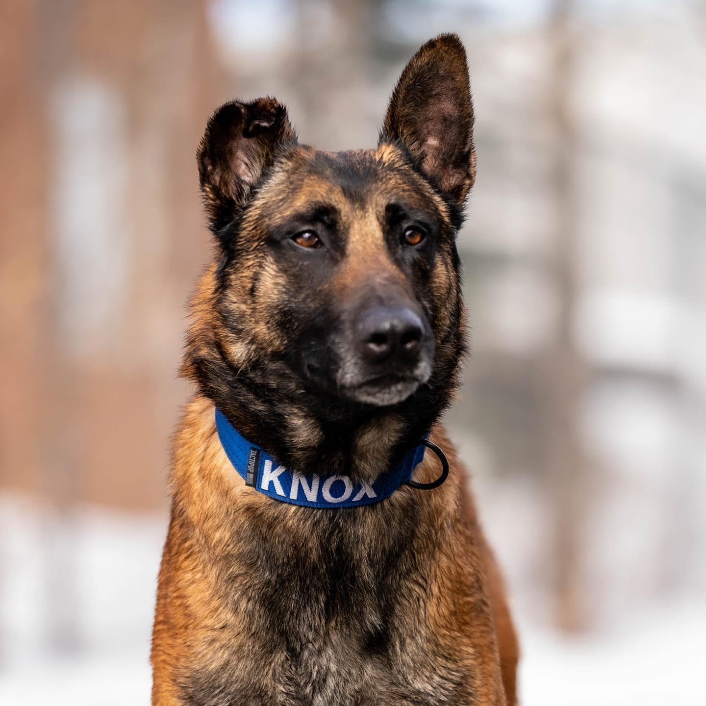 Knox