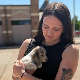 Elizabeth (went home) - Dapple female Dachshund puppy in Pauls Valley, Oklahoma from Simply Happy Dachshunds
