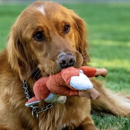 Golden Retrievers from B and K Goldens Llc.