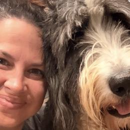 Bernedoodles from Michelle Green