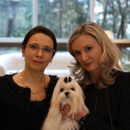 Maltese All Grown Up from Diamond Stars Maltese