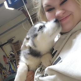 Siberian Husky Puppies from Spirit of the Moon Siberians