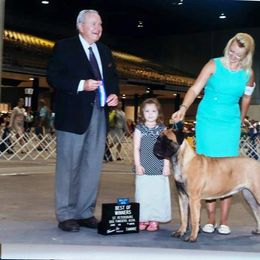Bullmastiff and Pembroke Welsh Corgi Puppies from Jenkins Family Bullmastiffs