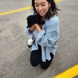 Maki ...formerly known as..Sleepy or Girl 2 - Black female Shih Tzu puppy in Lostant, Illinois from Bella's Babies
