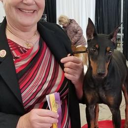 Chinese Cresteds and Manchester Terriers from Fantasy Kennels
