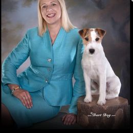Australian Shepherd and Parson Russell Terrier All Grown Up from Zoolo Kennels