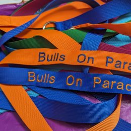 Bull Terrier Puppies from Bulls On Parade