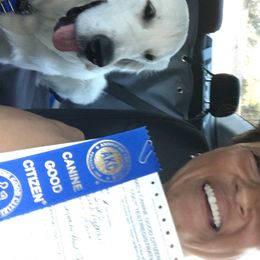 Golden Retriever Puppies from Dry Canyon Goldens