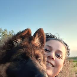 German Shepherd Puppies from Flussufer German Shepherds
