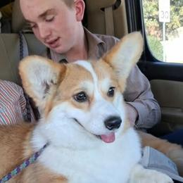 Dirty - Pembroke Welsh Corgi