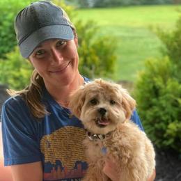 Teddy - Shihpoo