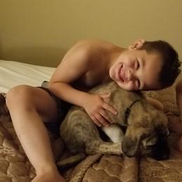 Anatolian Shepherd Dog Puppies from North Star Kinders