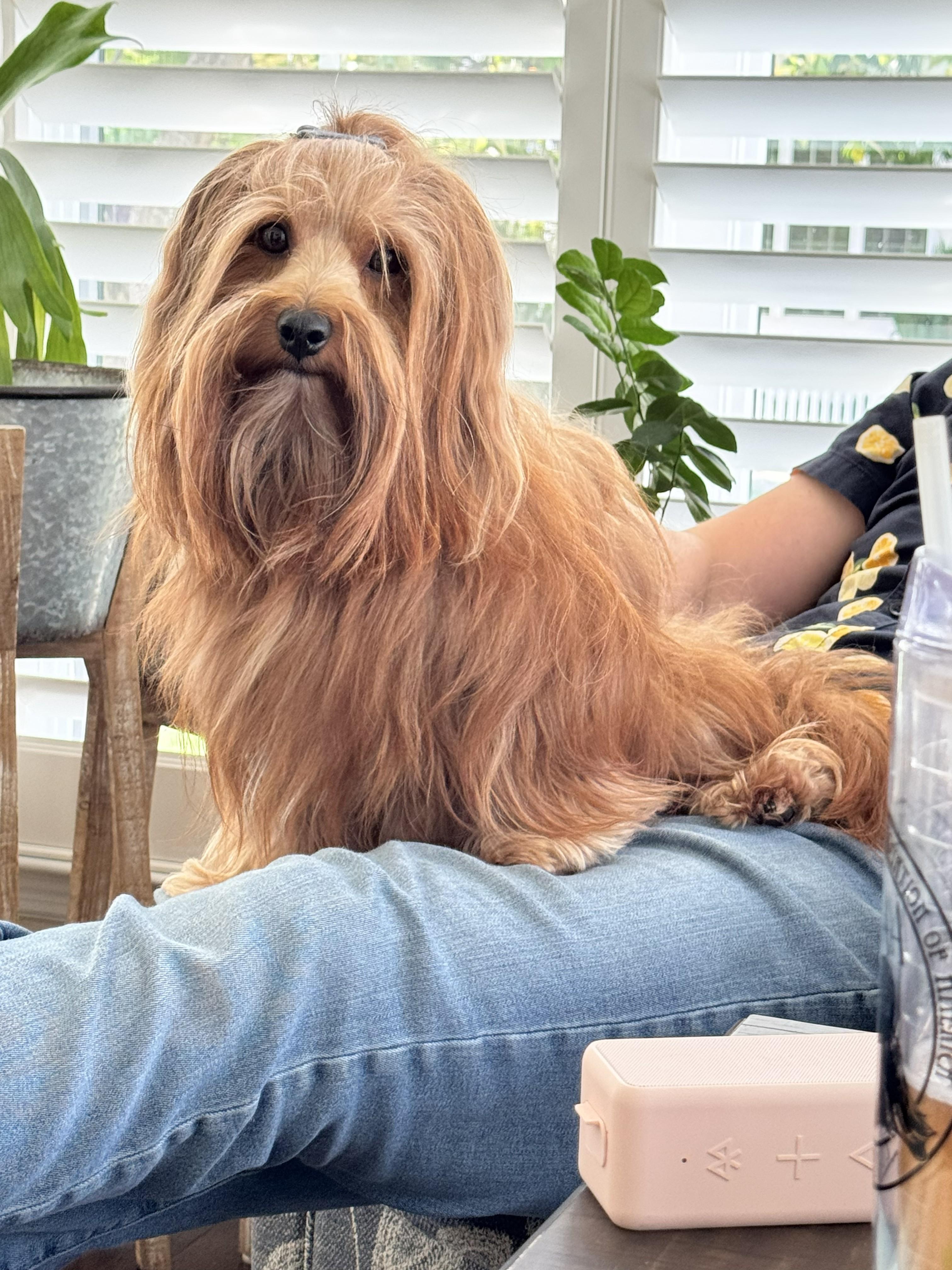 Marley
