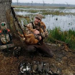 Golden Retriever All Grown Up from Golden Acres LLC