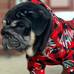 Bulldogs and French Bulldogs from Gotham City Bulldogs