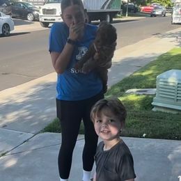 Laguna - Red  female Goldendoodle puppy in Lancaster, California from Kid's Best Doodle
