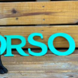 Miracle City Yellow - Black female Cane Corso puppy in Conroe, Texas from Miracle City