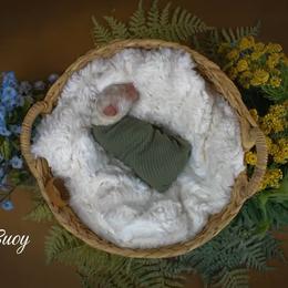 Buoy - White male Poodle puppy in Midwest City, Oklahoma from Strawberry Hill Puppy Patch