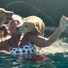 Golden Retriever Puppies from Graceful Goldens
